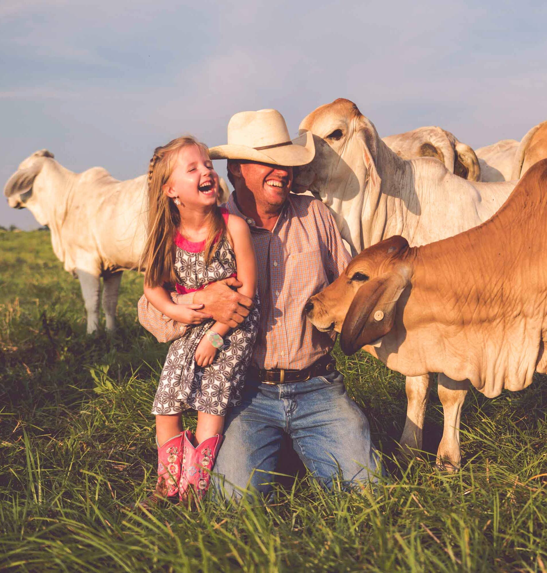 A rancher and his daughter laughing with Brahman cattle at 3L Land Stewards